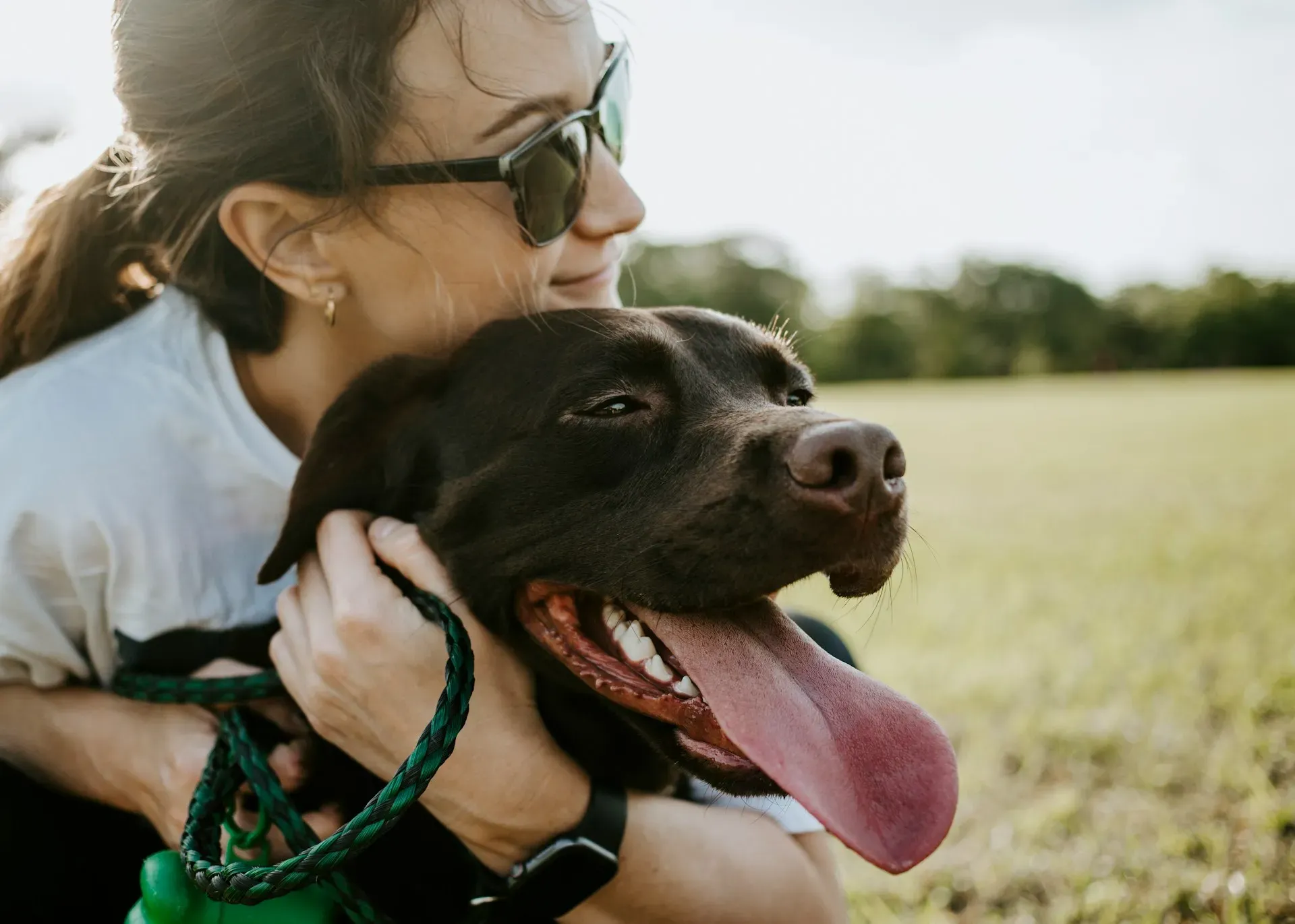 Mercado de Cuidadores de Pets no Brasil em 2025: Tendências, Oportunidades e o Futuro do Pet Sitter